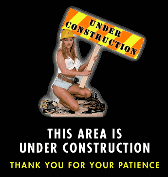 construction29